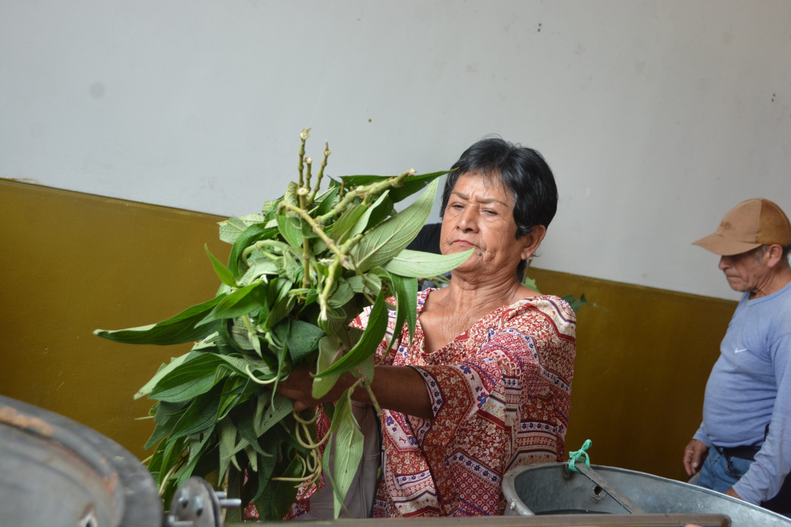 TALLER DE EMPRENDIMIENTOS SOSTENIBLES EN HUAYOPATA CON BAMBÚ Y LAS PLANTAS MEDICINALES